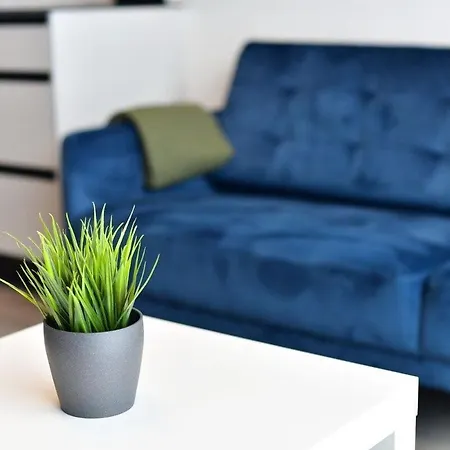Διαμέρισμα New Stylish With Garden In Good Location Κάουνας